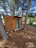 Belle villa de 5 chambres et 1 salle de bain près de la ville de Sax in Alicante Dream Homes API 1122