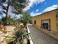 Belle villa de 5 chambres et 1 salle de bain près de la ville de Sax in Alicante Dream Homes API 1122