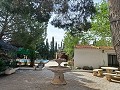 Belle villa de 5 chambres et 1 salle de bain près de la ville de Sax in Alicante Dream Homes API 1122