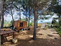 Belle villa de 5 chambres et 1 salle de bain près de la ville de Sax in Alicante Dream Homes API 1122