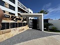 Ático de 2 dormitorios en Playa Flamenca in Alicante Dream Homes API 1122