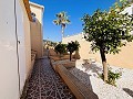 Villa de 7 chambres à San Miguel de Salinas in Alicante Dream Homes API 1122
