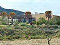 Belle villa de 4 chambres et 2 salles de bain à Salinas. in Alicante Dream Homes API 1122