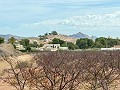 Stunning building plot walking distance to town  in Alicante Dream Homes API 1122
