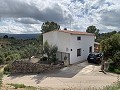 Schitterend landhuis met 4 slaapkamers en een perceel van 20.000 m2 in Alicante Dream Homes API 1122