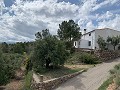 Schitterend landhuis met 4 slaapkamers en een perceel van 20.000 m2 in Alicante Dream Homes API 1122