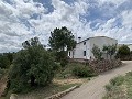 Schitterend landhuis met 4 slaapkamers en een perceel van 20.000 m2 in Alicante Dream Homes API 1122