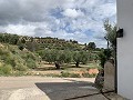 Schitterend landhuis met 4 slaapkamers en een perceel van 20.000 m2 in Alicante Dream Homes API 1122