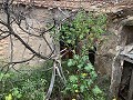 Haus zur Renovierung mit 3 Betten und Platz für Pool in Alicante Dream Homes API 1122