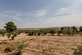 Atemberaubende freistehende Villa in Yecla mit Pool und Garage in Alicante Dream Homes API 1122