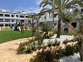 3 bedroom Bungalow in Punta Prima in Alicante Dream Homes API 1122