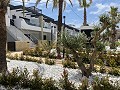 3 bedroom Bungalow in Punta Prima in Alicante Dream Homes API 1122