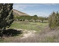 Schönes Landhaus mit 3 Schlafzimmern und 2 Badezimmern in Villena. in Alicante Dream Homes API 1122