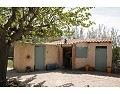 Schönes Landhaus mit 3 Schlafzimmern und 2 Badezimmern in Villena. in Alicante Dream Homes API 1122