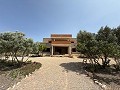 Fabulous 70% finished New build 7 Bedroom 4 Bathroom Villa for sale in Salinas. in Alicante Dream Homes API 1122