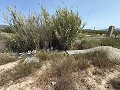 Fabulous 70% finished New build 7 Bedroom 4 Bathroom Villa for sale in Salinas. in Alicante Dream Homes API 1122