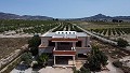 Fabulous 70% finished New build 7 Bedroom 4 Bathroom Villa for sale in Salinas. in Alicante Dream Homes API 1122
