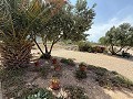 Fabulous 70% finished New build 7 Bedroom 4 Bathroom Villa for sale in Salinas. in Alicante Dream Homes API 1122