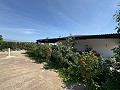 Bezugsfertige moderne Villa mit 5 Schlafzimmern und Pool in Sax, Alicante in Alicante Dream Homes API 1122