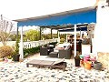 Bezugsfertige moderne Villa mit 5 Schlafzimmern und Pool in Sax, Alicante in Alicante Dream Homes API 1122