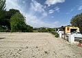 Finca de 4 chambres avec piscine et joli jardin à 10 minutes à pied de la ville de Sax in Alicante Dream Homes API 1122