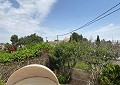 Finca de 4 chambres avec piscine et joli jardin à 10 minutes à pied de la ville de Sax in Alicante Dream Homes API 1122
