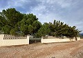 Prachtige finca in Sax met 2 slaapkamers, 1 badkamer en potentieel voor veel meer in Alicante Dream Homes API 1122