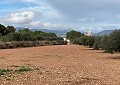 Prachtige finca in Sax met 2 slaapkamers, 1 badkamer en potentieel voor veel meer in Alicante Dream Homes API 1122