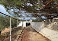 Prachtige finca in Sax met 2 slaapkamers, 1 badkamer en potentieel voor veel meer in Alicante Dream Homes API 1122
