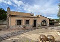 Prachtige finca in Sax met 2 slaapkamers, 1 badkamer en potentieel voor veel meer in Alicante Dream Homes API 1122