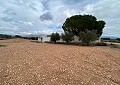 Prachtige finca in Sax met 2 slaapkamers, 1 badkamer en potentieel voor veel meer in Alicante Dream Homes API 1122