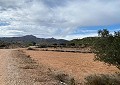 Prachtige finca in Sax met 2 slaapkamers, 1 badkamer en potentieel voor veel meer in Alicante Dream Homes API 1122