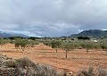 Prachtige finca in Sax met 2 slaapkamers, 1 badkamer en potentieel voor veel meer in Alicante Dream Homes API 1122