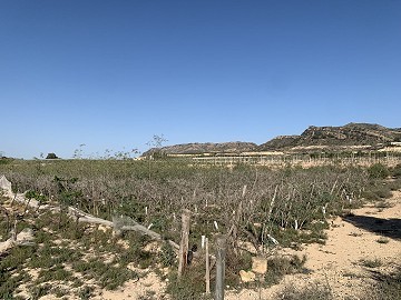 Building Plot near Monforte del Cid
