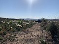 Building Plot near Monforte del Cid in Alicante Dream Homes API 1122