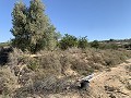 Building Plot near Monforte del Cid in Alicante Dream Homes API 1122