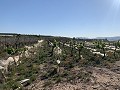 Building Plot near Monforte del Cid in Alicante Dream Homes API 1122
