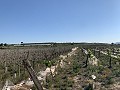 Building Plot near Monforte del Cid in Alicante Dream Homes API 1122