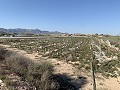 Building Plot near Monforte del Cid in Alicante Dream Homes API 1122