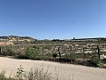 Building Plot near Monforte del Cid in Alicante Dream Homes API 1122