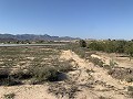 Building Plot near Monforte del Cid in Alicante Dream Homes API 1122