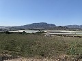 Terrain à bâtir près de Monforte del Cid in Alicante Dream Homes API 1122