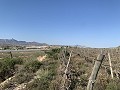 Terrain à bâtir près de Monforte del Cid in Alicante Dream Homes API 1122