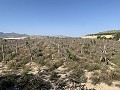 Terrain à bâtir près de Monforte del Cid in Alicante Dream Homes API 1122