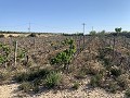 Terrain à bâtir près de Monforte del Cid in Alicante Dream Homes API 1122