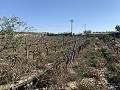 Terrain à bâtir près de Monforte del Cid in Alicante Dream Homes API 1122