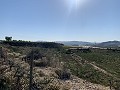 Terrain à bâtir près de Monforte del Cid in Alicante Dream Homes API 1122