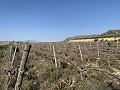 Terrain à bâtir près de Monforte del Cid in Alicante Dream Homes API 1122