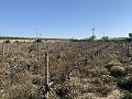 Terrain à bâtir près de Monforte del Cid in Alicante Dream Homes API 1122