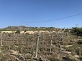 Terrain à bâtir près de Monforte del Cid in Alicante Dream Homes API 1122